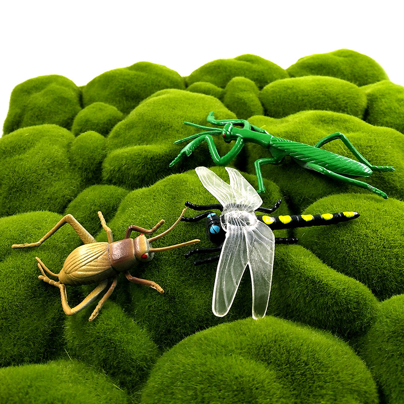 12 figurines d'insectes et d'a - Home Improvement News avis et prix
