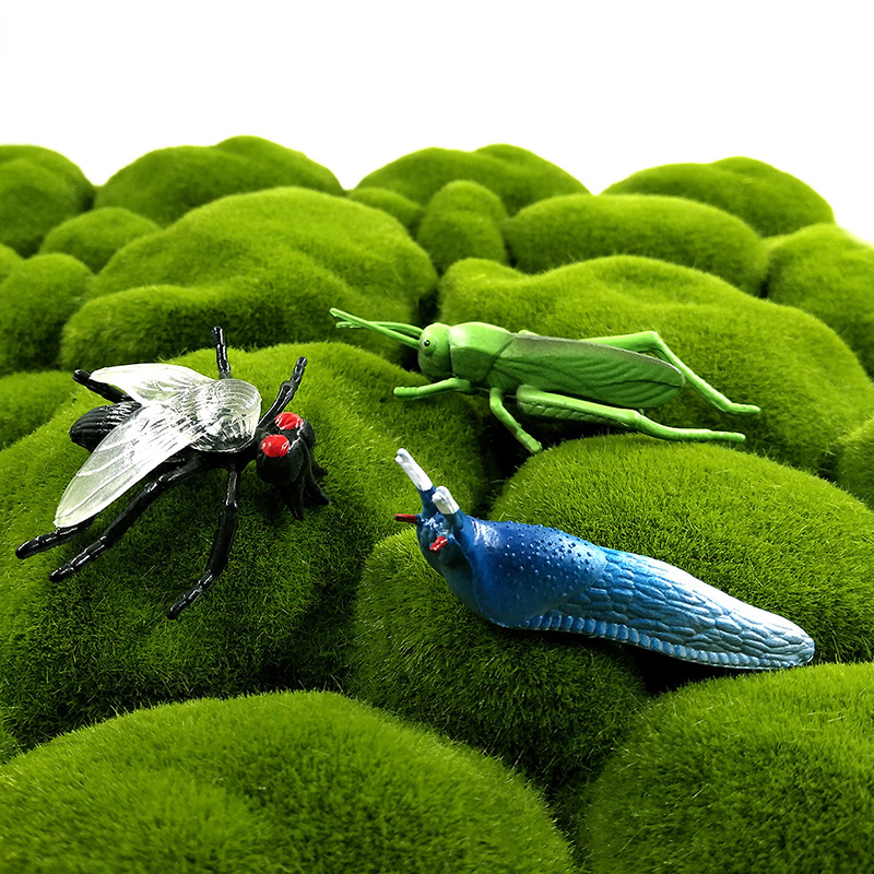 12 figurines d'insectes et d'a - Home Improvement News avis et prix